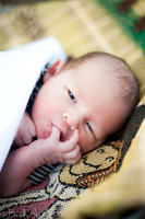 Newborn