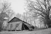 Fine Art Prints