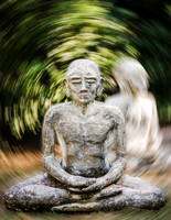 Fine Art Prints