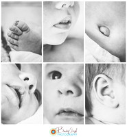 Newborn